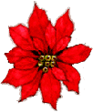 Solstice Spectacular Savings on Readings with Wendy!