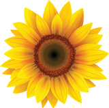 15-40% Off Astrology Reports!